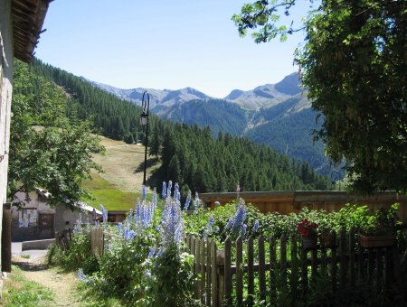 vue depuis l'entrée