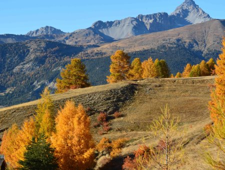 chemin derrière le chalet en automne