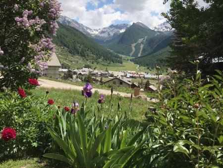 Vue depuis la terrasse