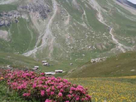 Le Roseyt c'est avant tout un magnifique quartier dans l'alpage de Clapeyto, à voir fin juin avec les rhododendrons