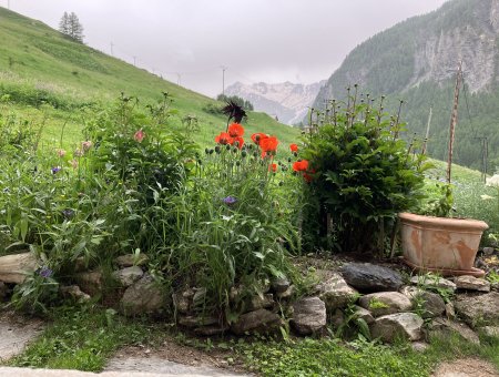 Chalet soleniou - Vue depuis le salon sur le haut de la vallée