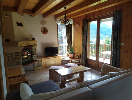 Salon avec cheminée et accès à la terrasse