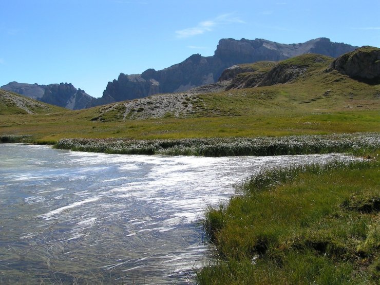 Un des lacs du col Néal, dans lune sagne (zone humide) à Arvieux