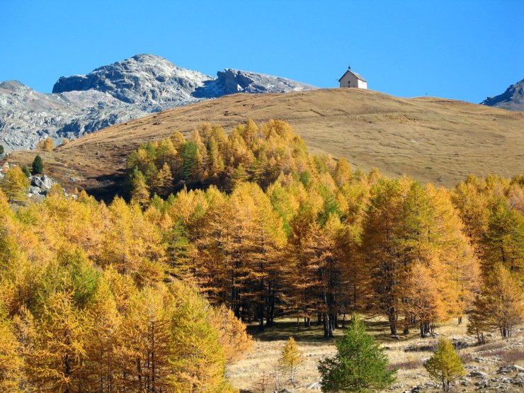 L'automne dans la Combe de Clausis à Saint-Véran