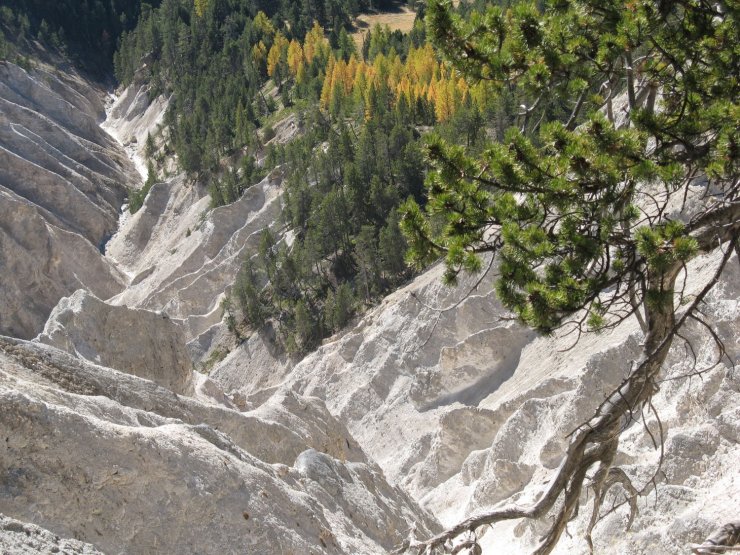 La géologie sur le terrain : gypse du ravin de la Ruine blanche à Château-Ville-Vieille