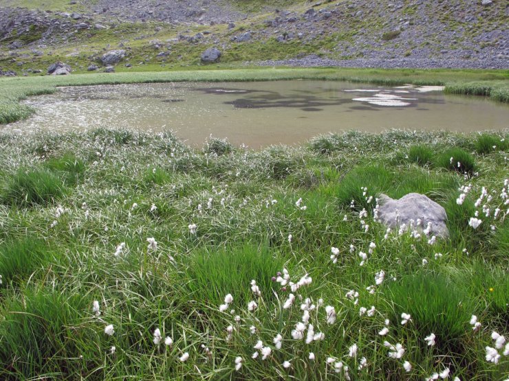 Lac de la Valette à Arvieux