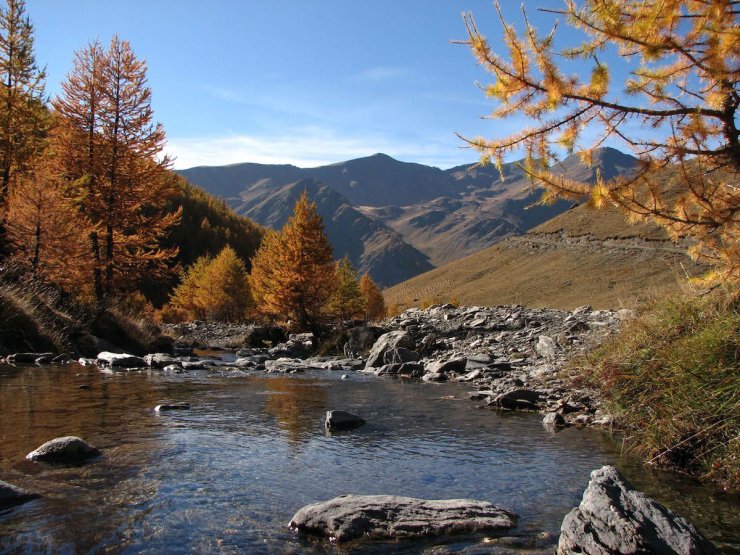 Un ruisseau sous le Col Saint-Martin à Abriès (Queyras)