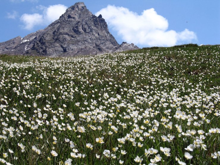 Le Bric Bouchet, montagne d'Abriès dans le Queyras à la frontière italienne