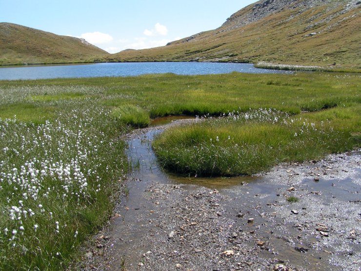 Randonnée au lac Malrif à Abriès en Queyras