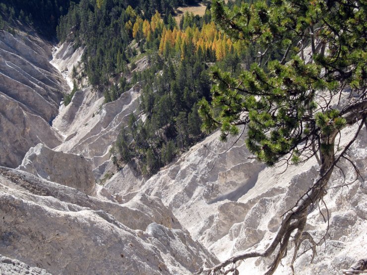 Le ravin de la Ruine Blanche au dessus de Montbardon