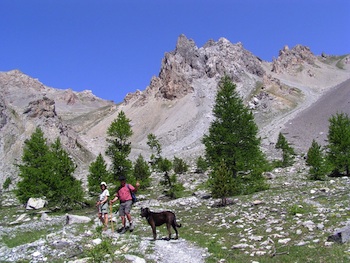 The climb to the Col du Lauzon in Arvieux in a bucolic atmosphere
