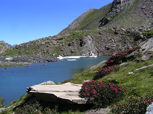 Lake Baricle in Ristolas (Queyras)